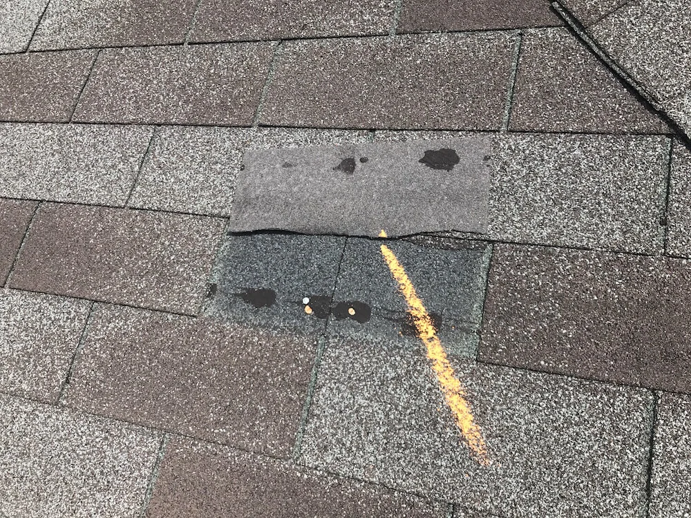 Shingle Roof Replacement